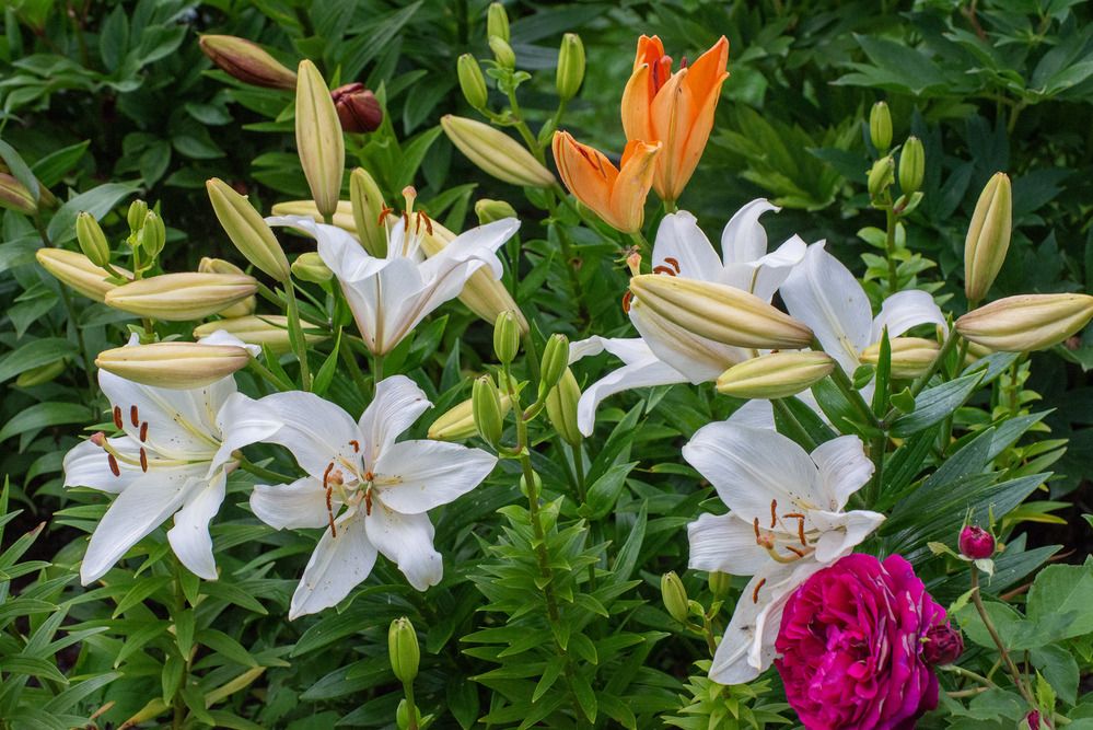 Photograph by Эдуард Шадров