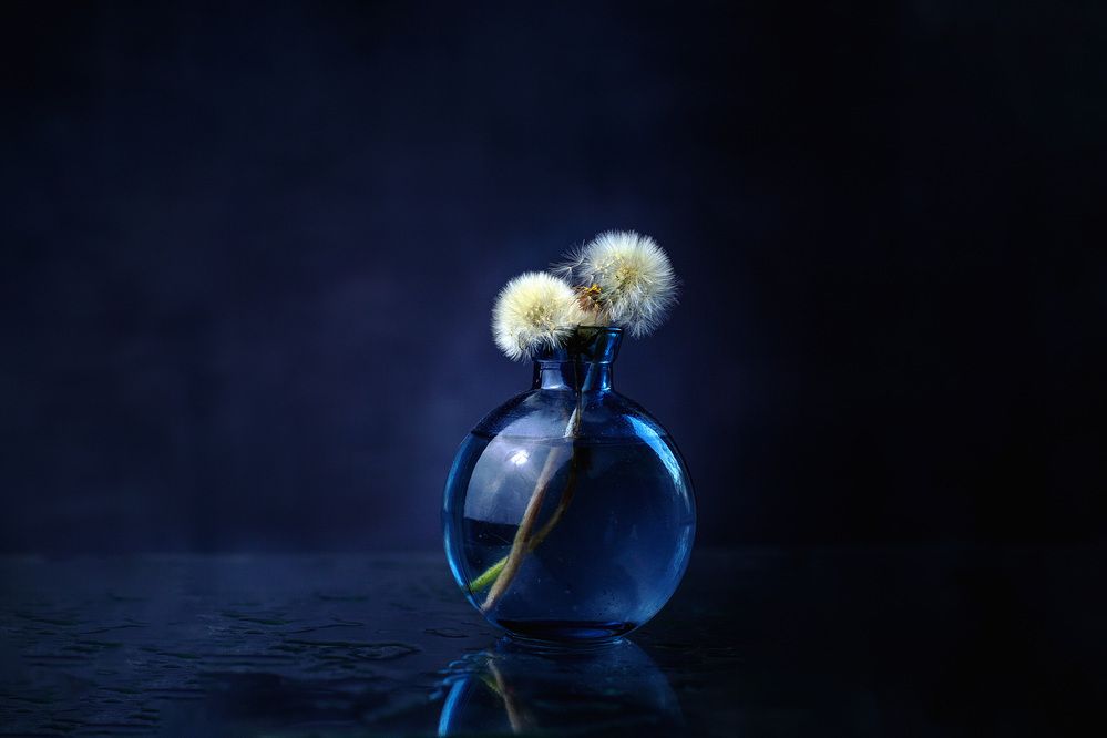 Photograph by Яна Резник