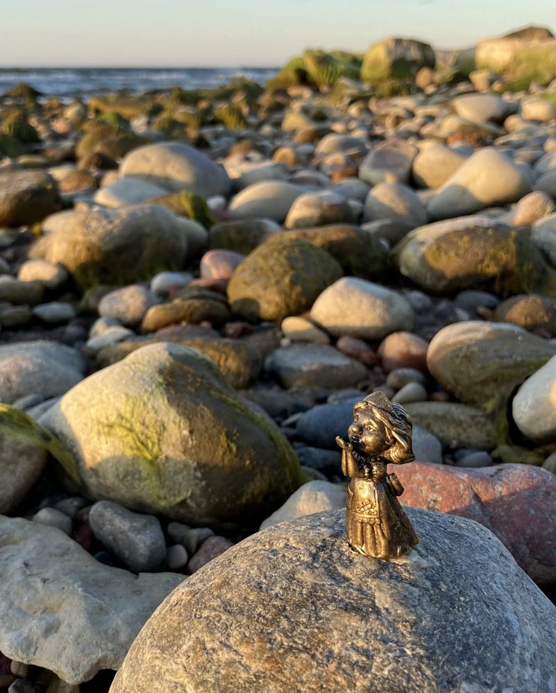 Из жизни хомлинов...