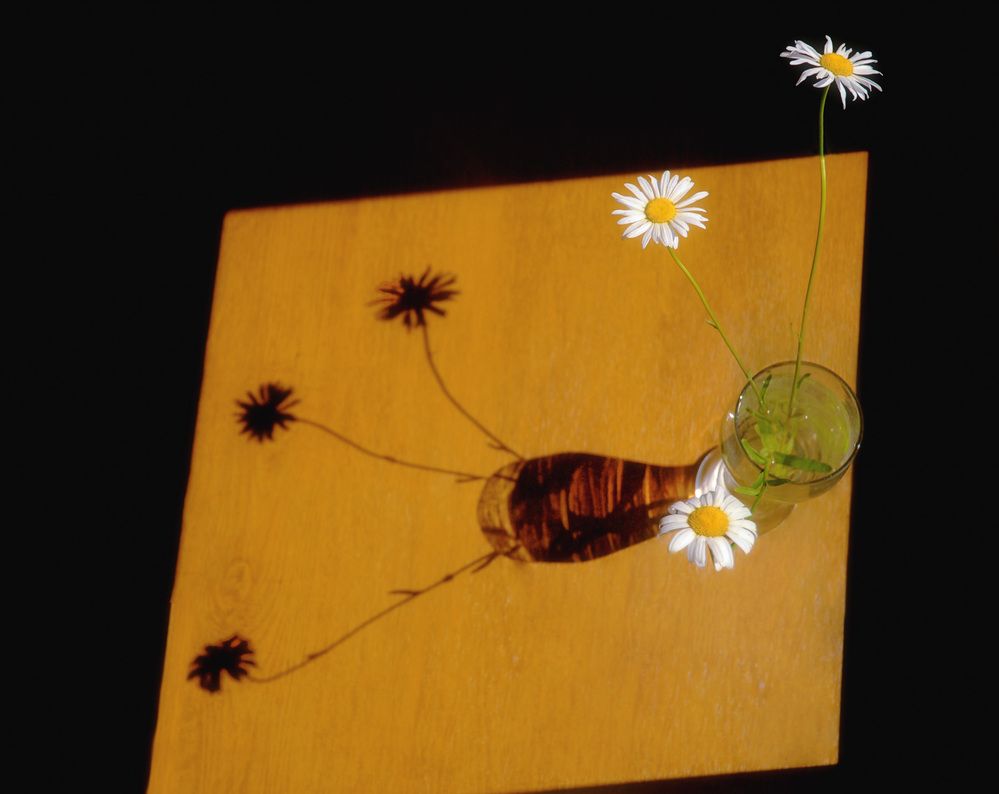 Photograph by Вера Петри