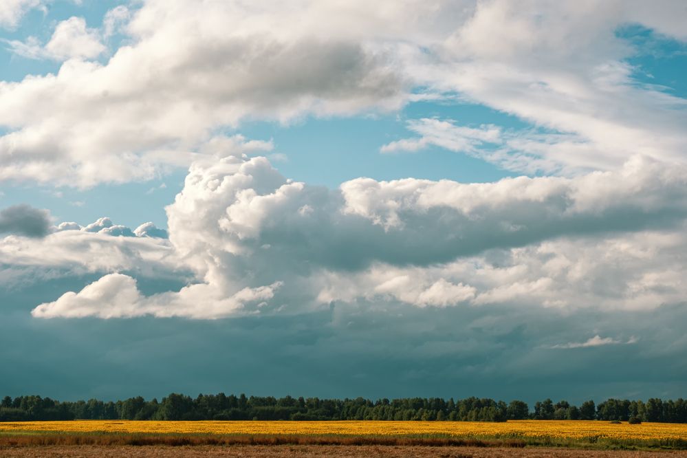 Photograph by Евгений Соколов