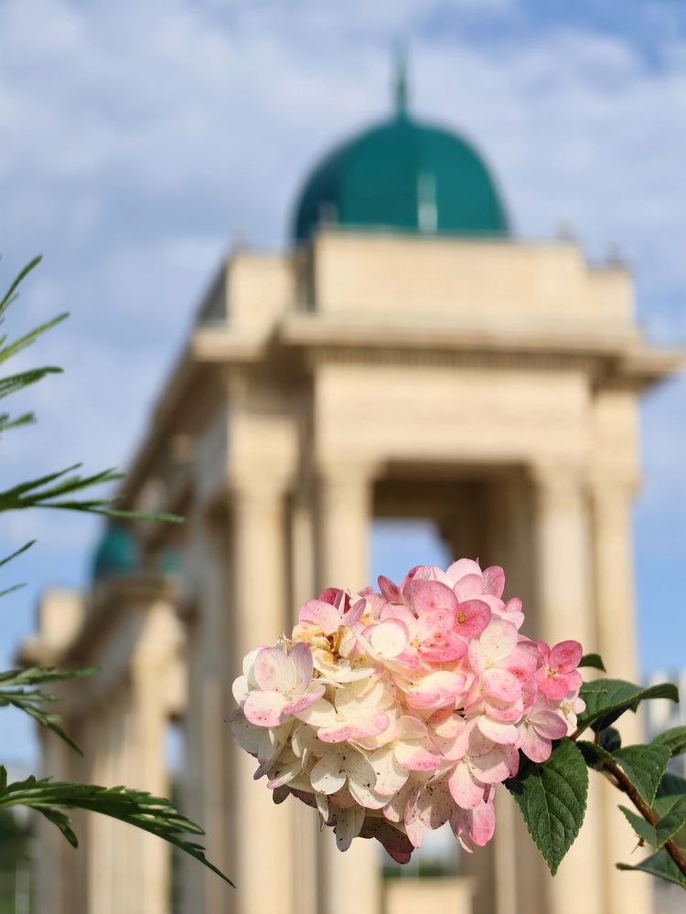 Photograph by Гульназ Шайхисламова