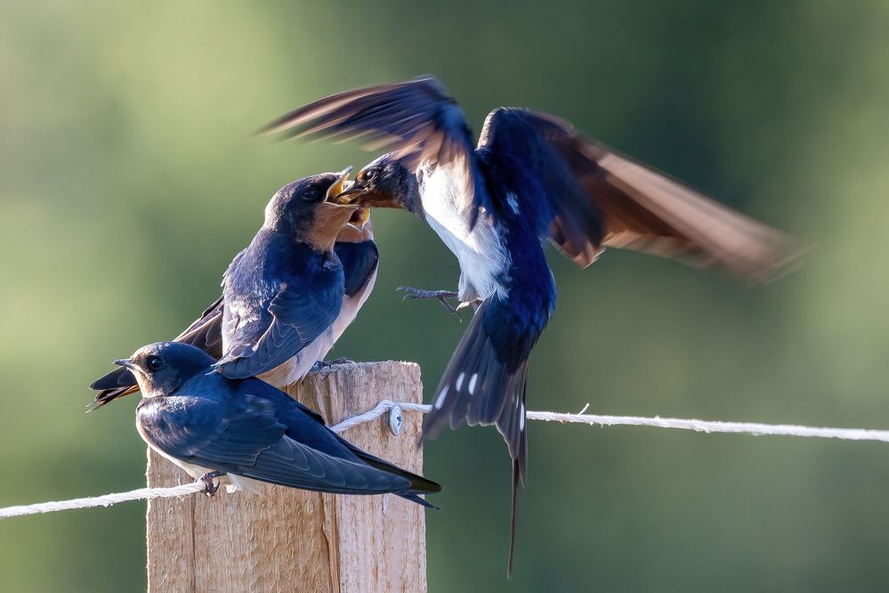 Photograph by Кузнецов Дмитрий
