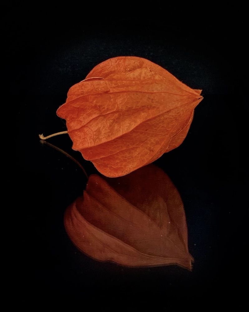 Photograph by Надежда Смирнова