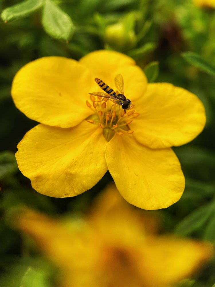 Photograph by Ольга Атаева