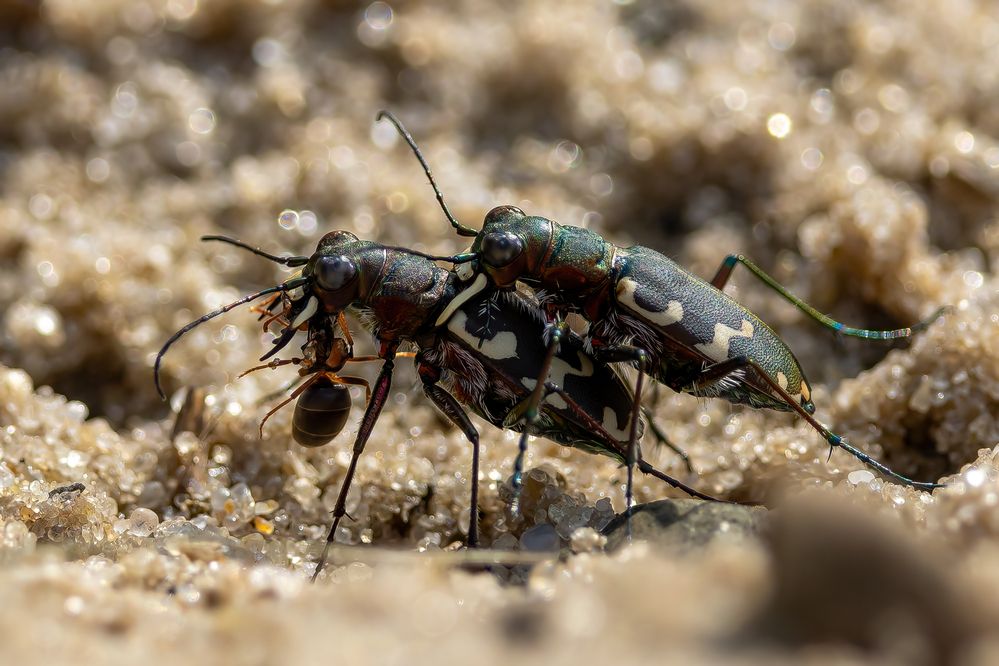 Photograph by Кузнецов Дмитрий