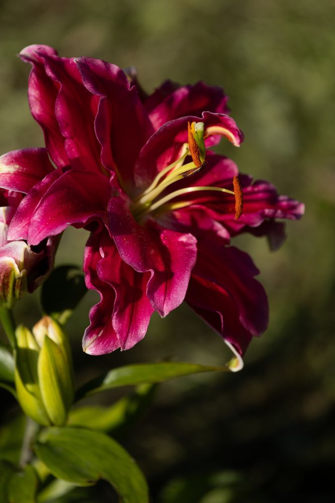 Photograph by Денис Есаков