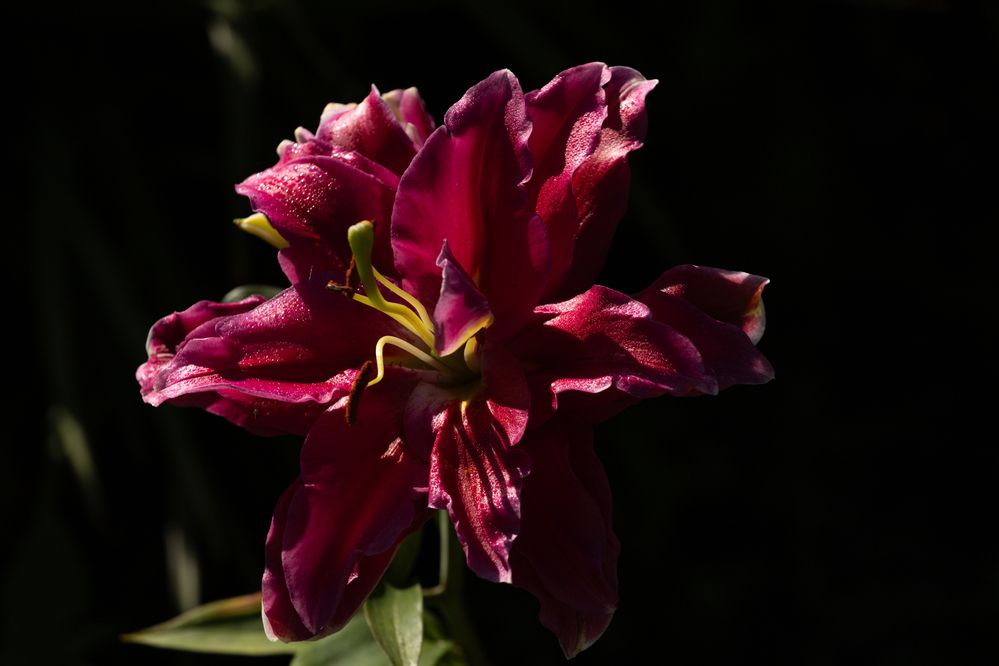 Photograph by Денис Есаков