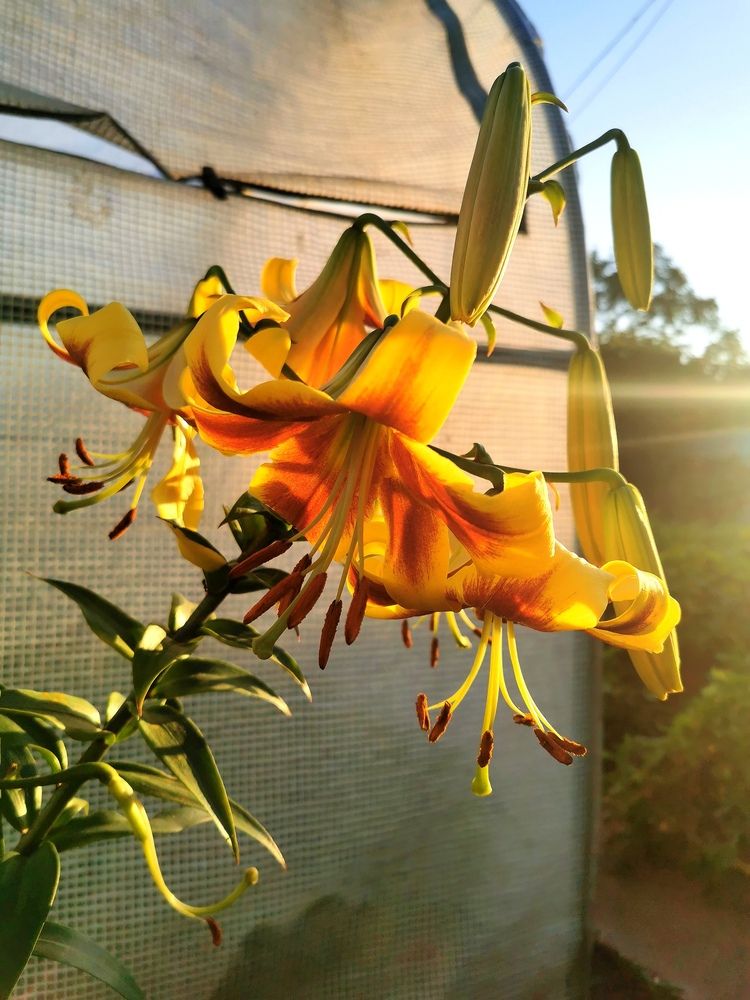 Photograph by Елена Иванова