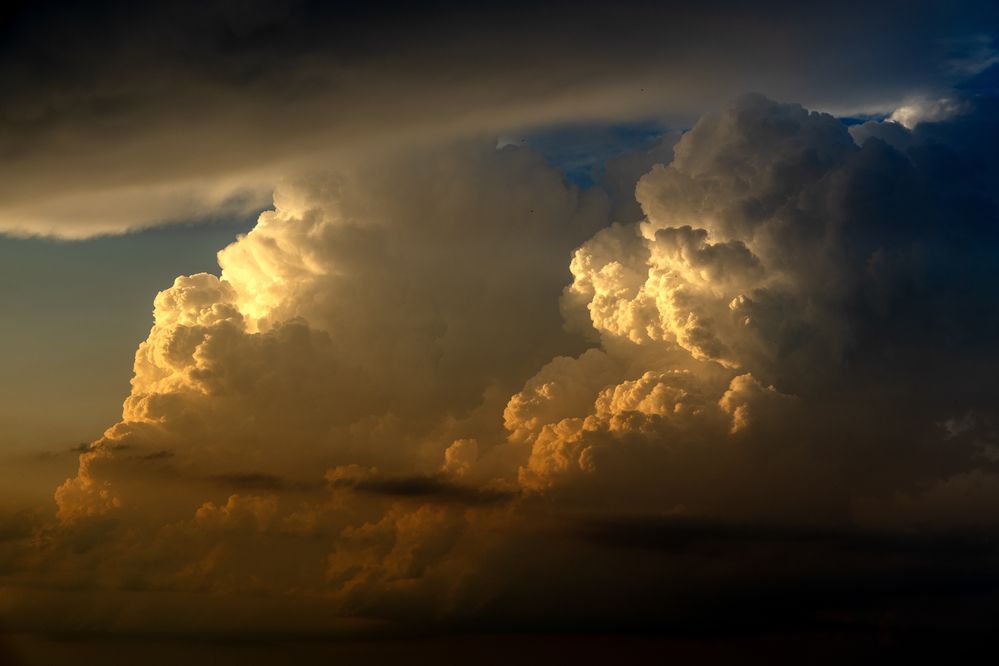 Photograph by Елена Лапочкина