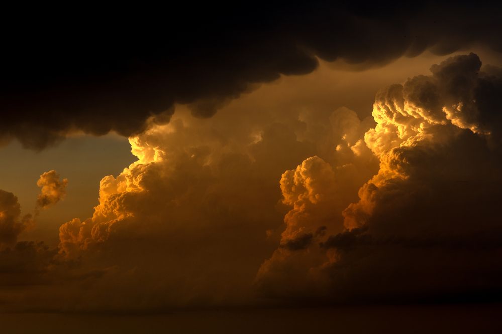 Photograph by Елена Лапочкина