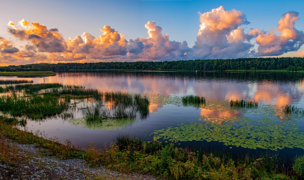 Photograph by Игорь Овсиенко