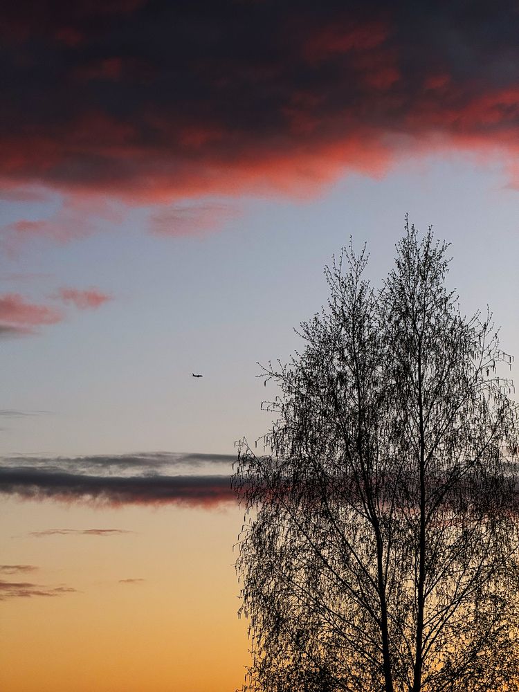 Photograph by Ирина Щербакова