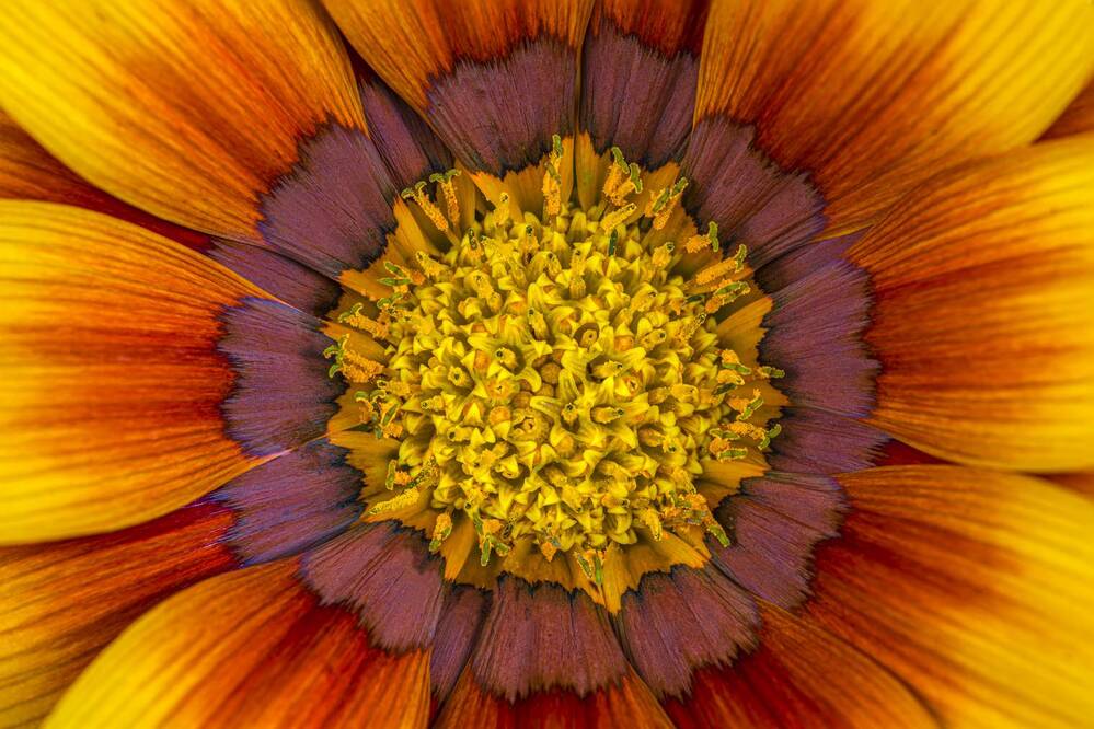 Photograph by Luca Menotti