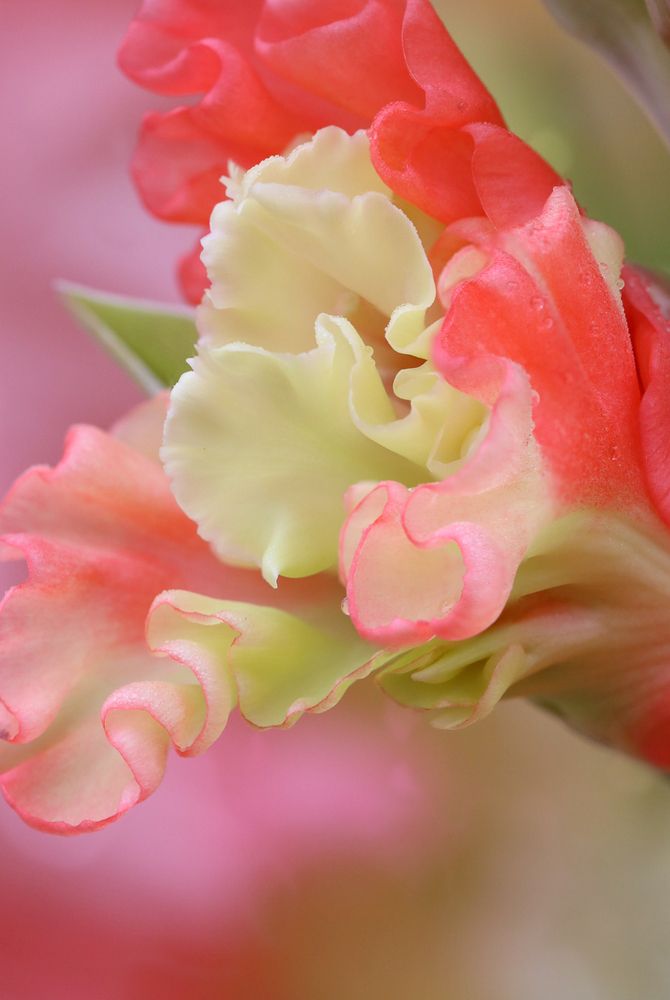 Photograph by Надежда Зайцева