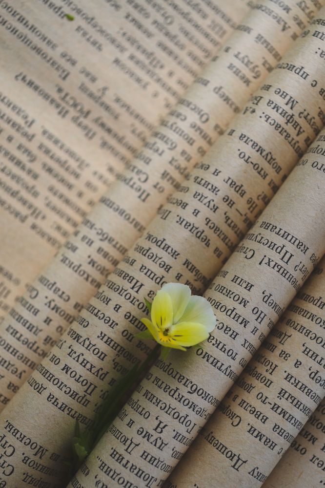 Фотография автора Ирина Романовская