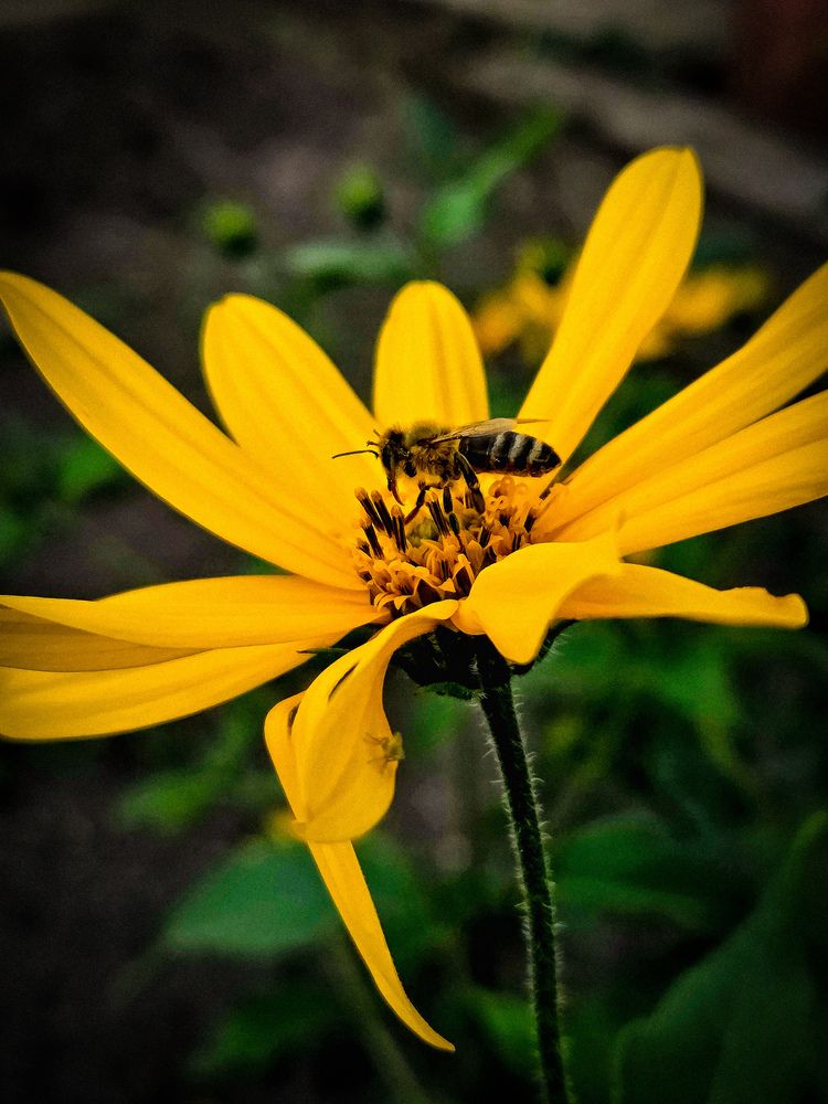 Photograph by Наташа Бурсова