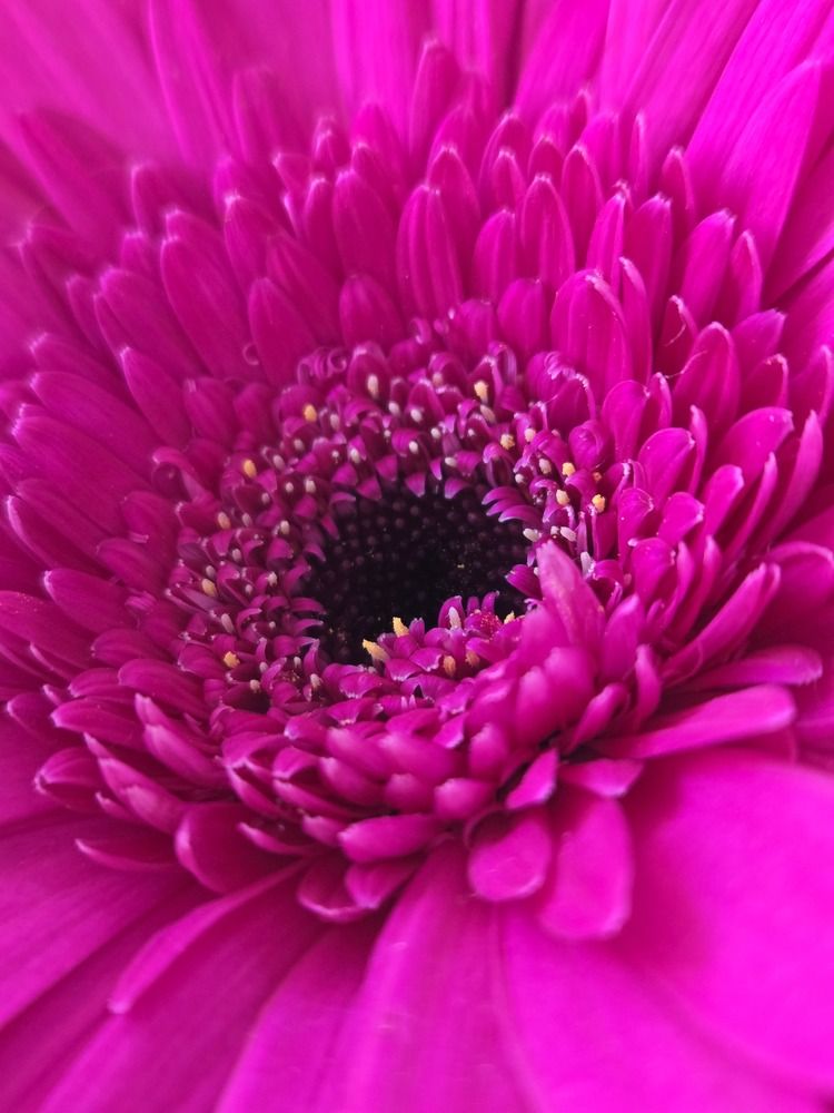 Photograph by Наташа Бурсова