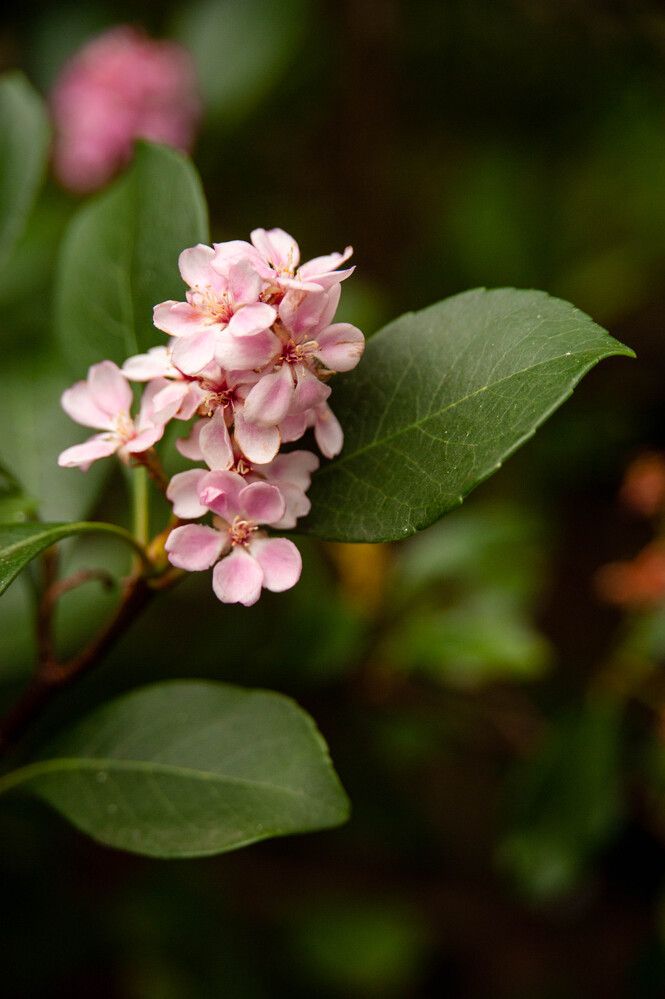 Photograph by Александр Вавулин