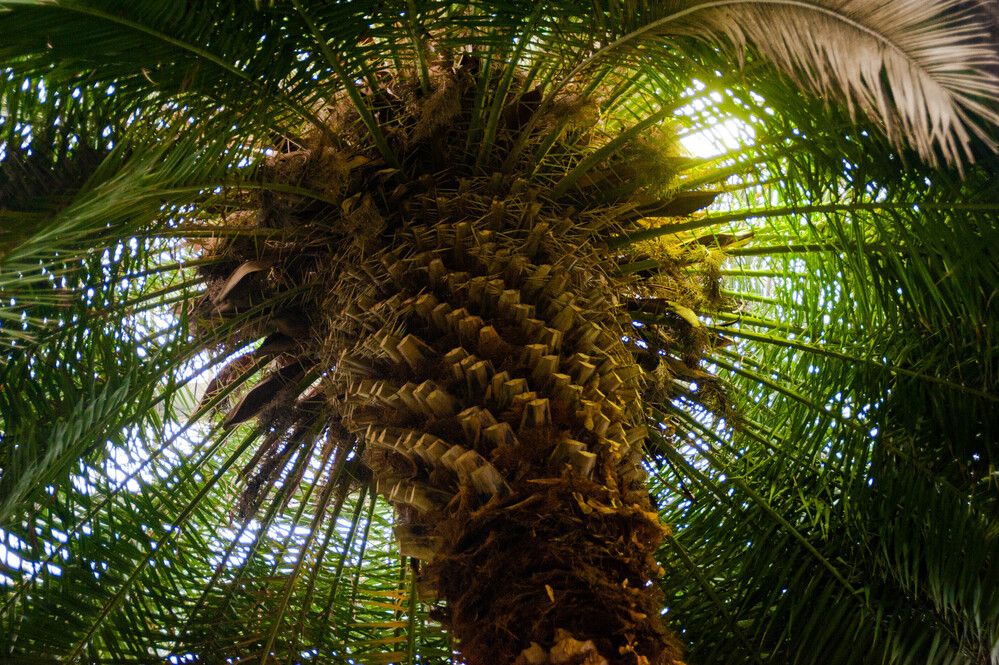 Photograph by Александр Вавулин