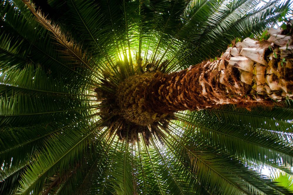 Photograph by Александр Вавулин