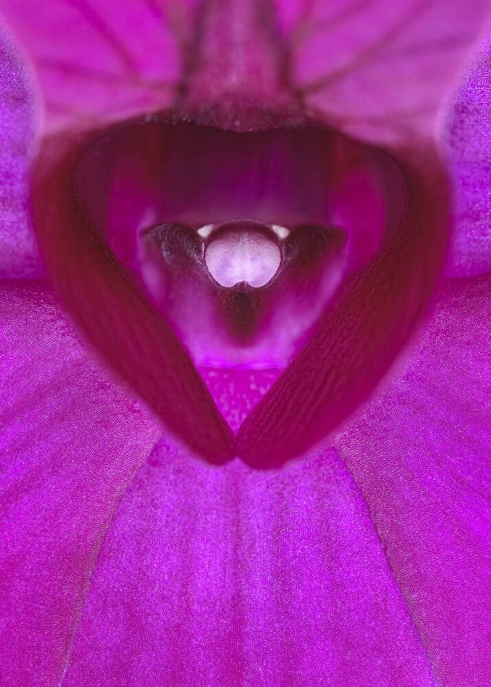 Photograph by Luca Menotti