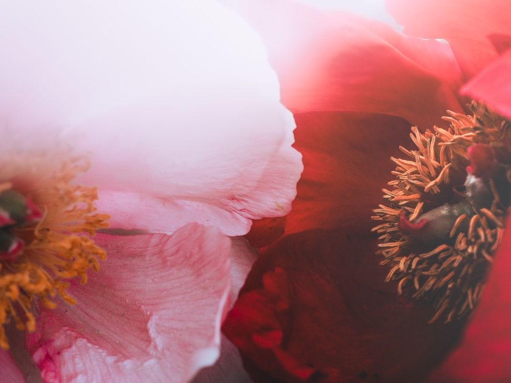 Photograph by Маргарита Смоленская