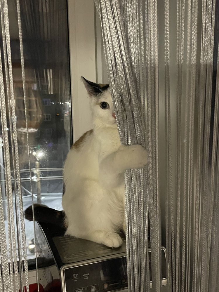 Photograph by марина