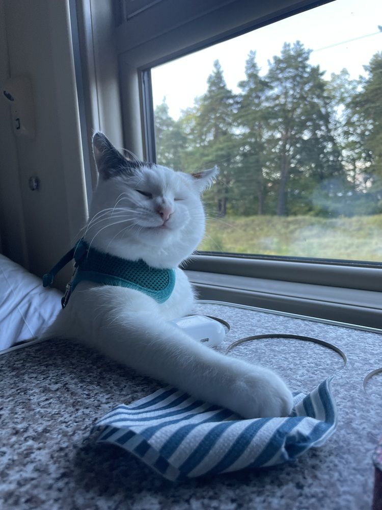 Photograph by марина