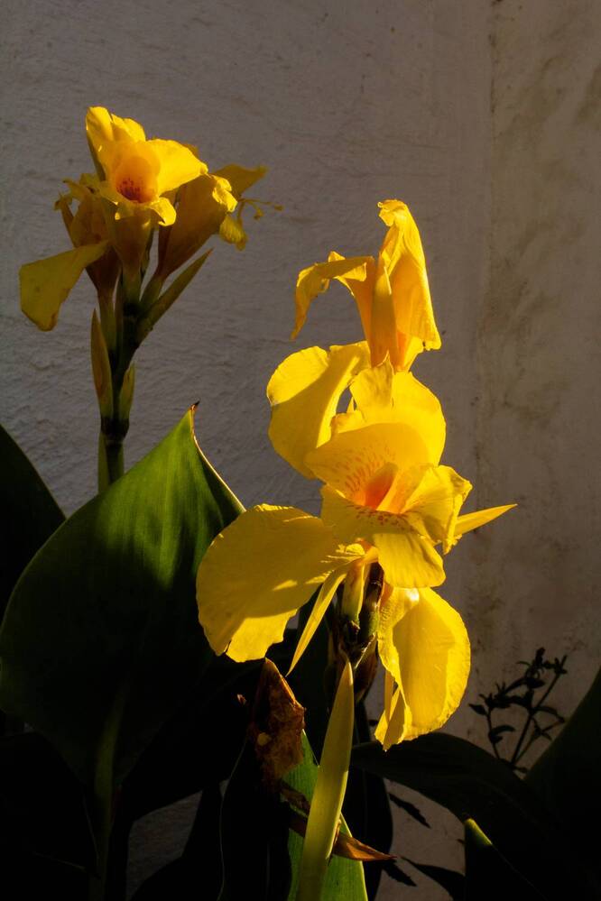 Photograph by Анна Лукина