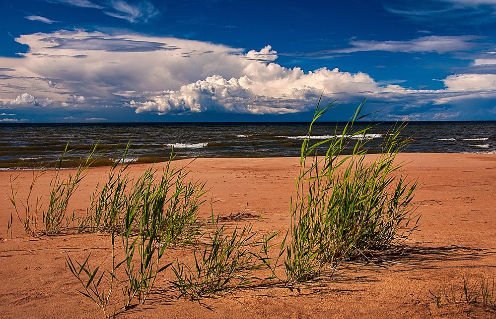 Photograph by Игорь Овсиенко