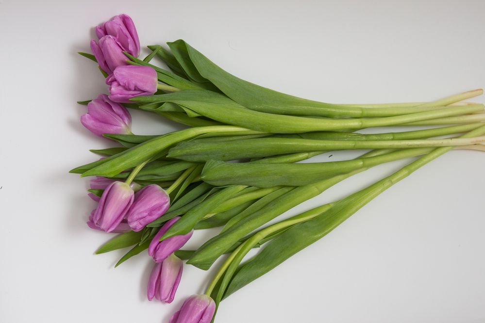 Photograph by Ирина Савостикова