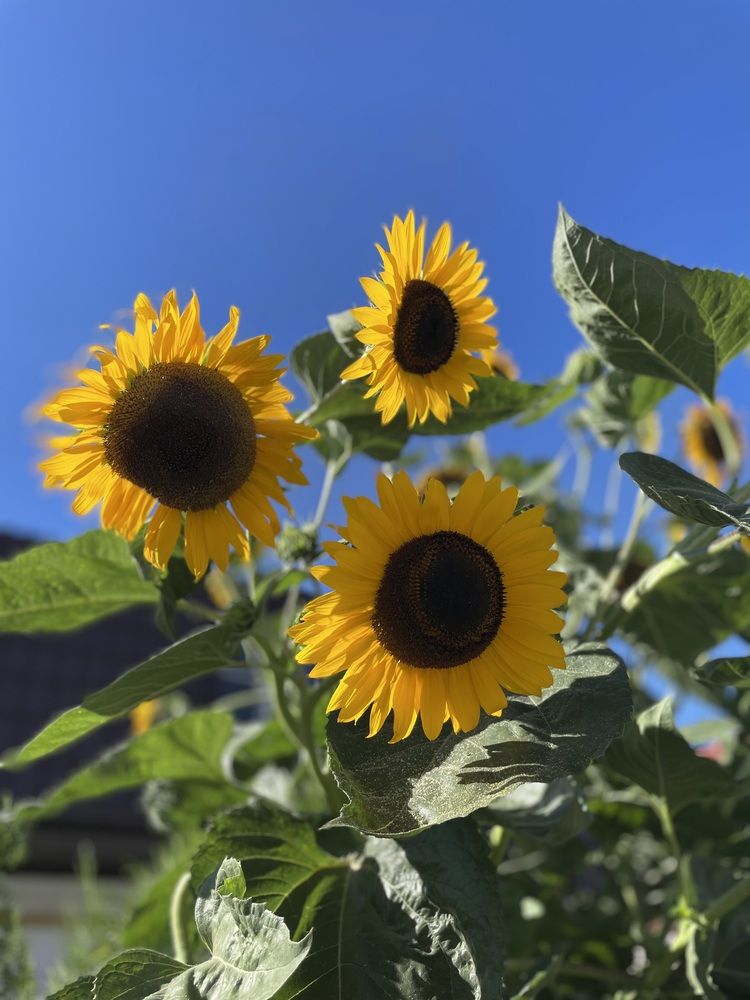 Photograph by марина