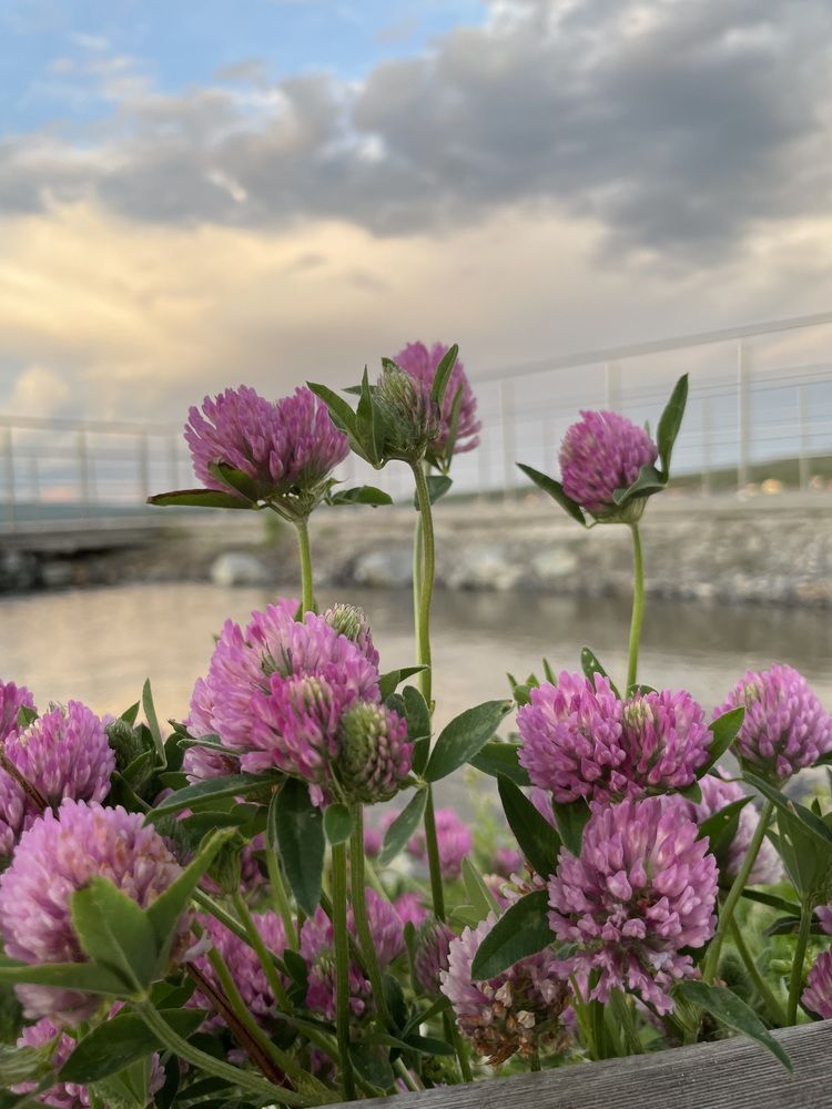 Photograph by марина