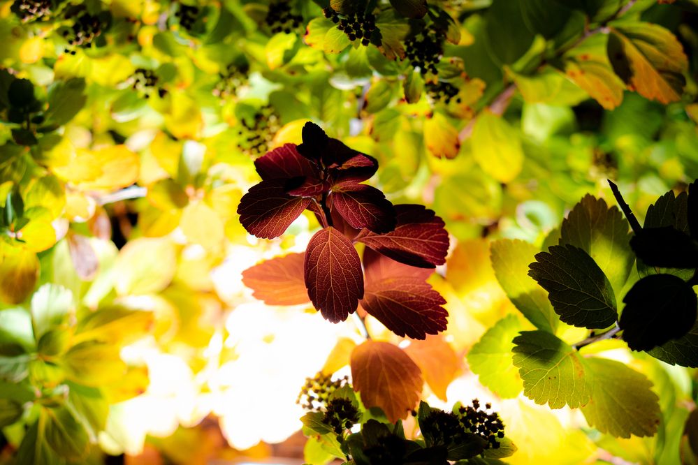 Photograph by Арсений Крят