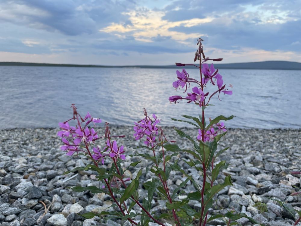 Photograph by марина