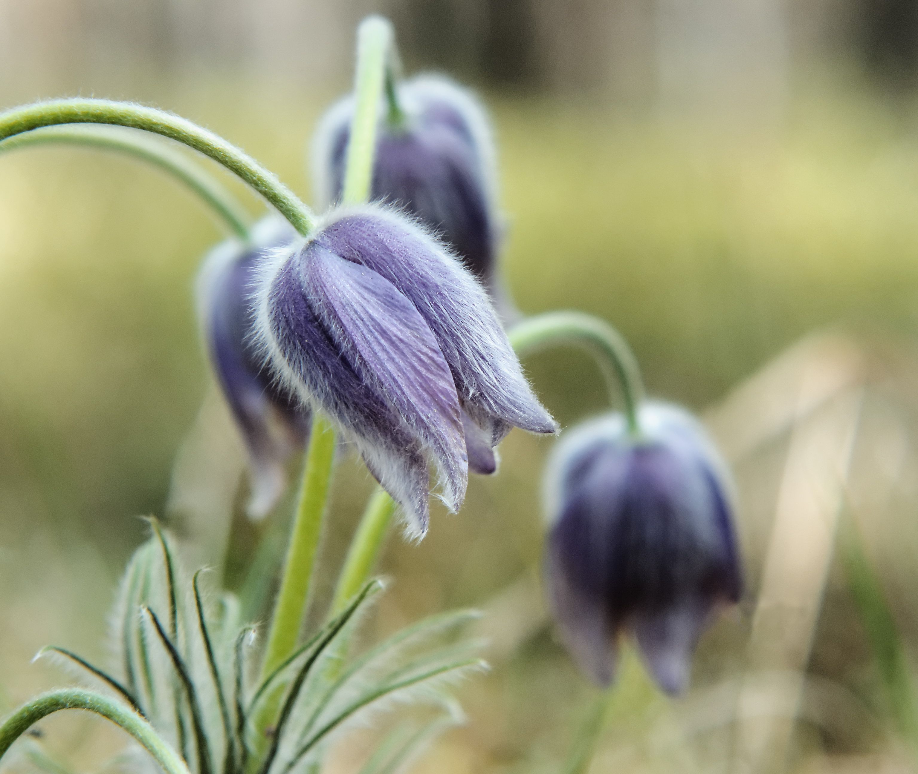 Photograph by Александр Авдушев