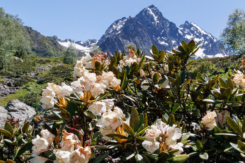 Photograph by Игорь Максименко