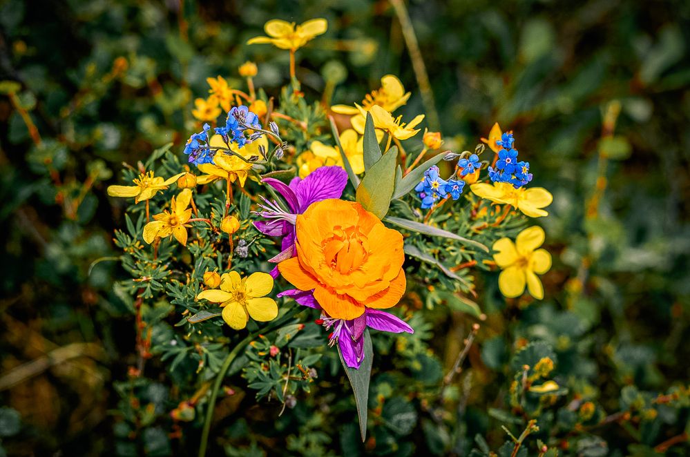 Photograph by Александр Шалагин