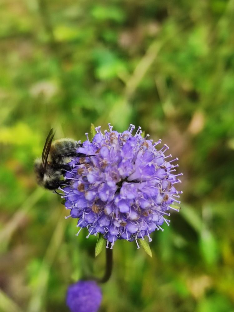 Photograph by Микка