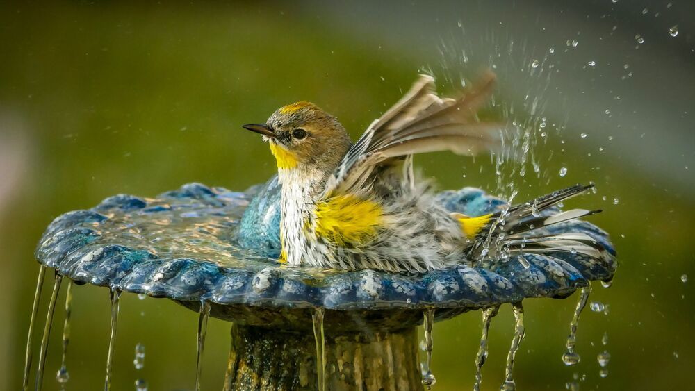 Photograph by Михаил Терёхин