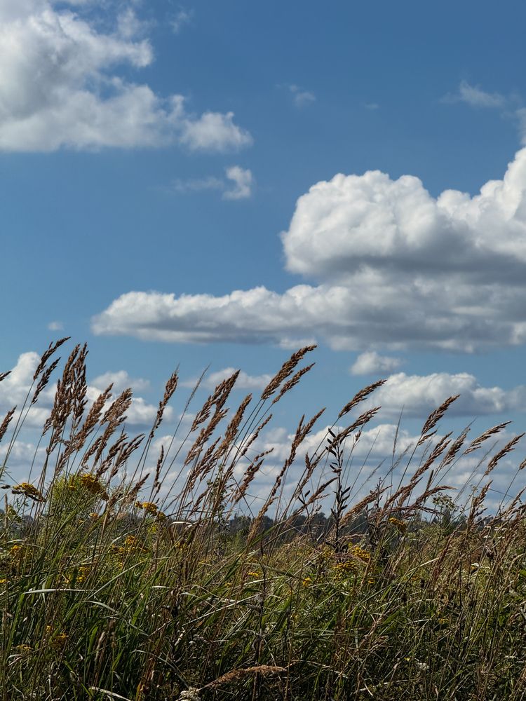 Photograph by Алиса Чугунова