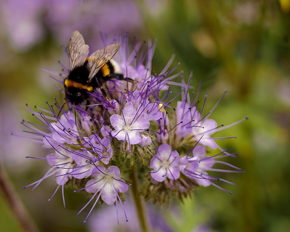 Photograph by Grigoriy