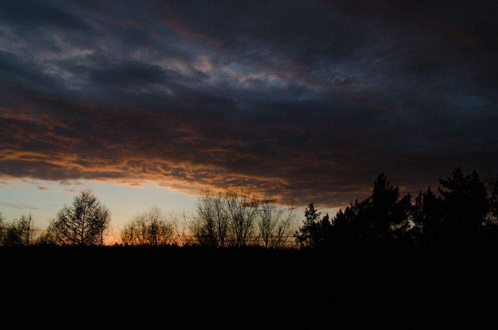 Photograph by Шамина Вера