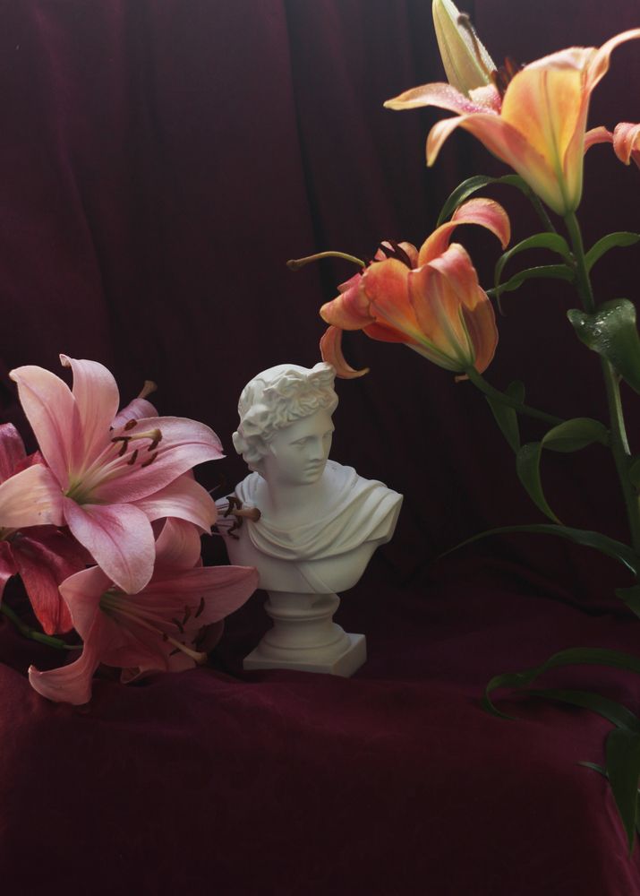 Photograph by Наталья Митченкова