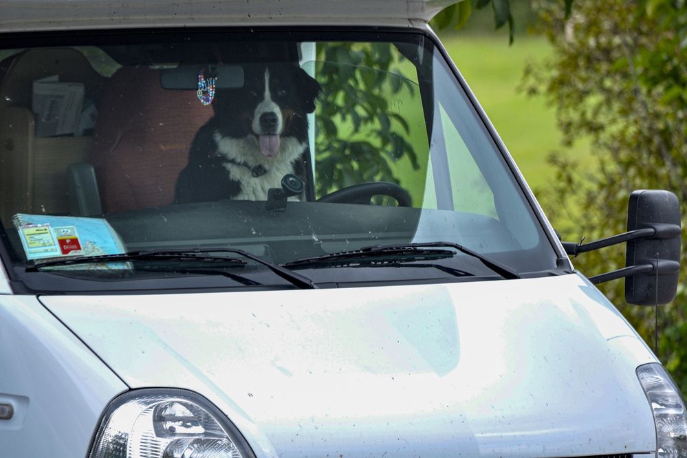 Photograph by Игорь Овсиенко