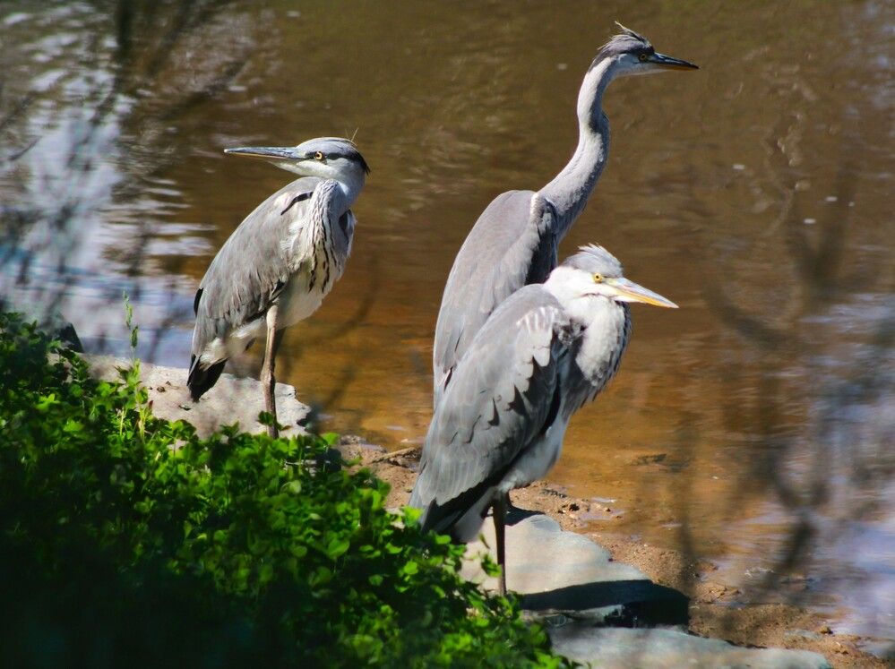 Photograph by Владимир Малёшин