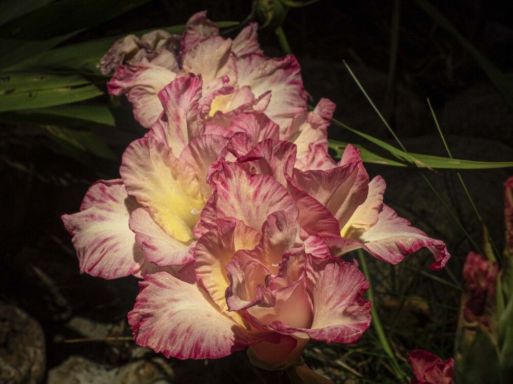 Photograph by Борис Полтавец