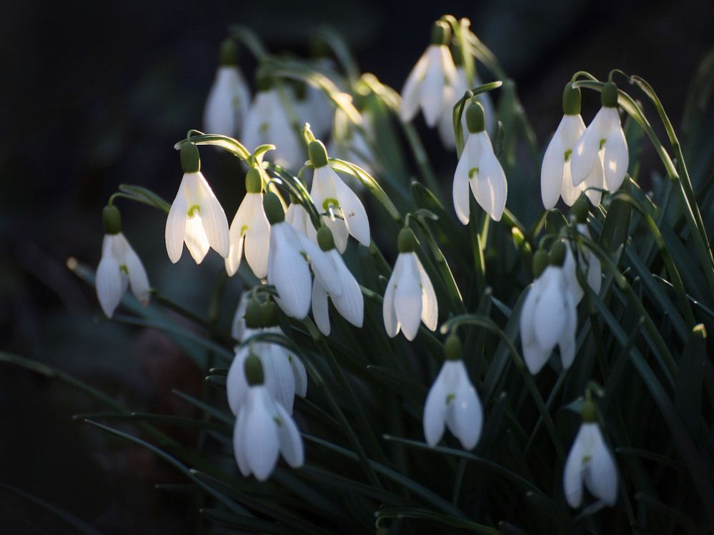 Photograph by Марианна Браун