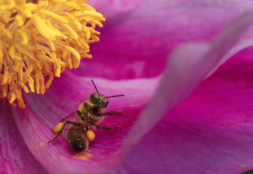 Photograph by Евгений Андреев